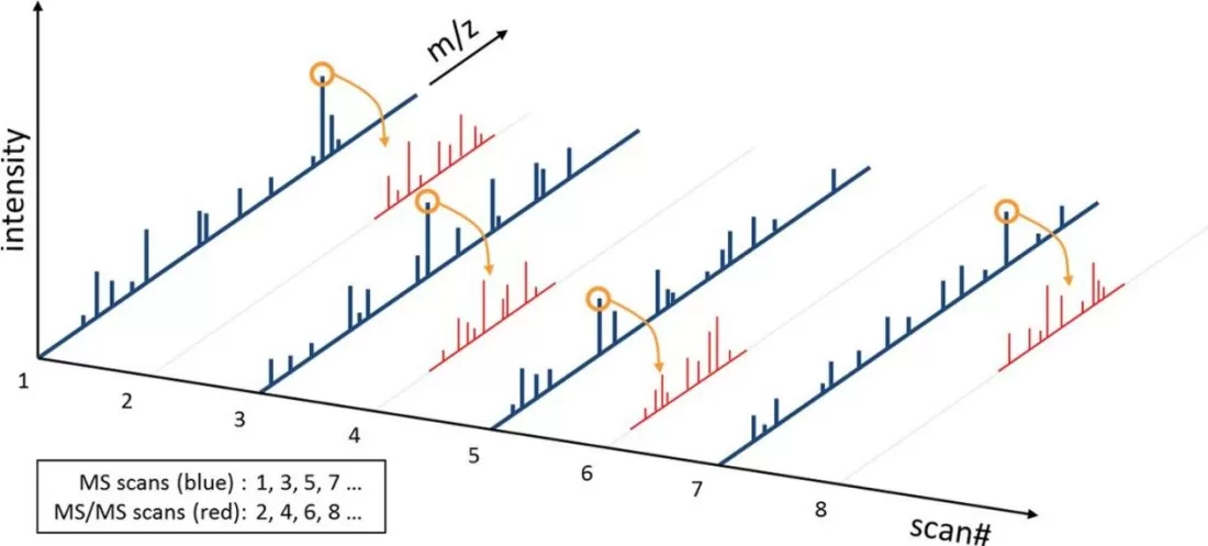 Figure 2. Illustration of MS/MS Data Acquisition